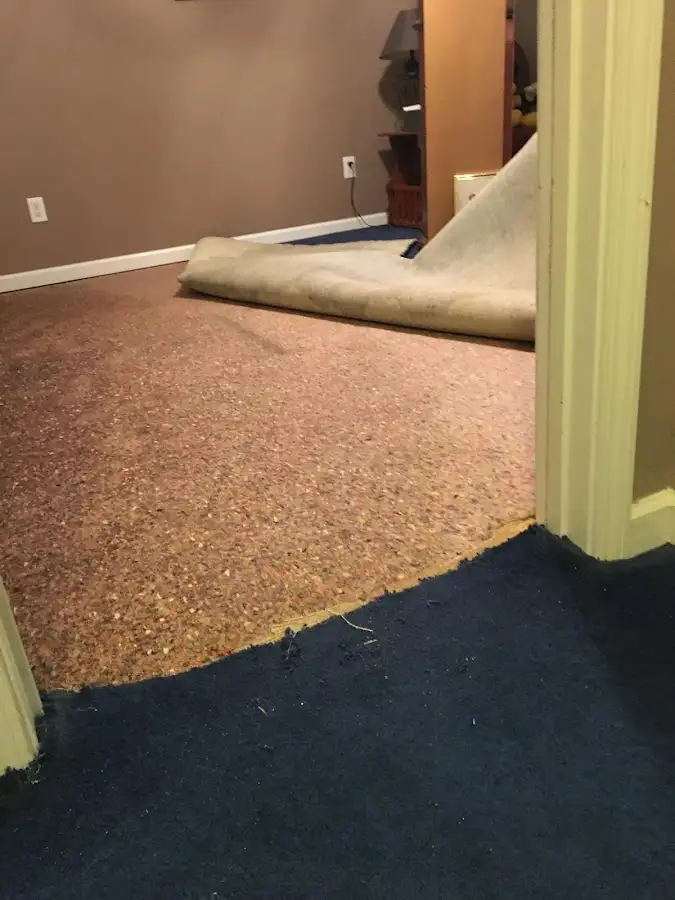 Carpet pad removal revealing water damage during Water Mitigation Services in St. Marys